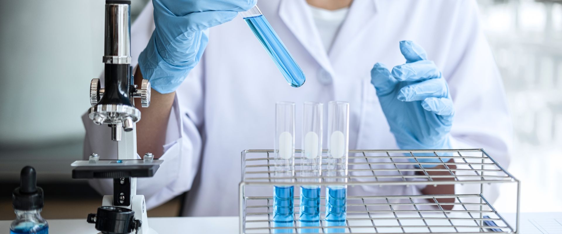 Projekt bez nazwy - 2025-07-31T100110.205